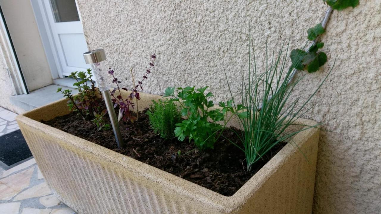 فيلا Maison Avec Piscine Lézignan-Corbières المظهر الخارجي الصورة